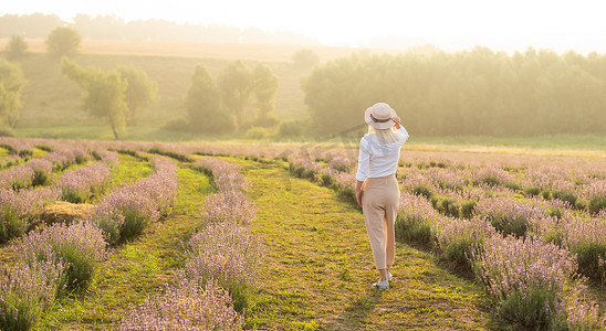 在阳光下奔跑摄影照片_美丽的年轻健康女人，穿着白色连衣裙，在夕阳的光芒下拿着草帽，快乐地穿过薰衣草田奔跑