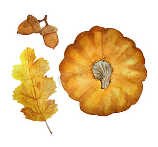 秋天的落叶手绘摄影照片_水彩手绘一套橙色南瓜从上面看，十月秋天的秋叶和橡树橡子。