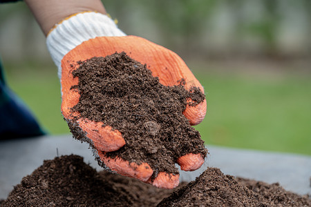 手持泥炭苔有机质改善农业有机植物生长的土壤，生态概念。