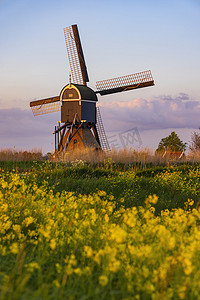 布罗克莫伦风车 (Windmill Broekmolen), 莫伦兰登 - 尼乌波特, 荷兰