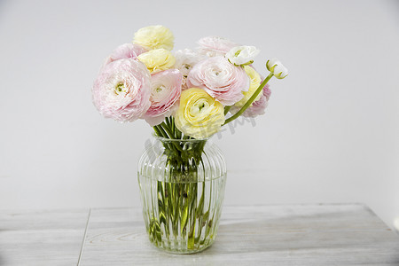 浅灰色桌子上玻璃花瓶里的淡粉色和黄色波斯毛茛花束。