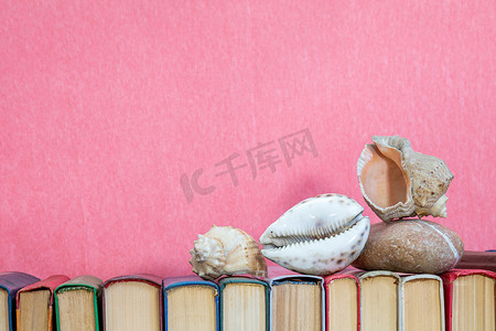 粉红色背景的多彩多姿的书上的贝壳。