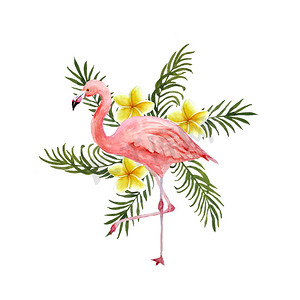 水彩手绘插图，背景为粉红色火烈鸟和热带绿色棕榈叶鸡蛋花鸡蛋花。