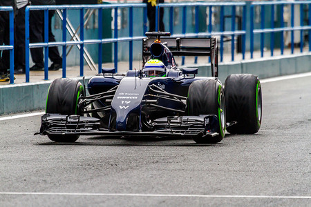 威廉姆斯 F1 车队，费利佩·马萨，2014 年