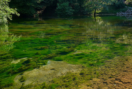 尖锐的湖底有藻类