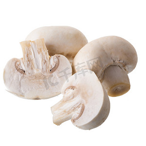 白蘑菇，白色 Backgro 上分离的蘑菇