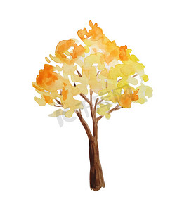 森林木材林地公园秋季树的水彩手绘插图。