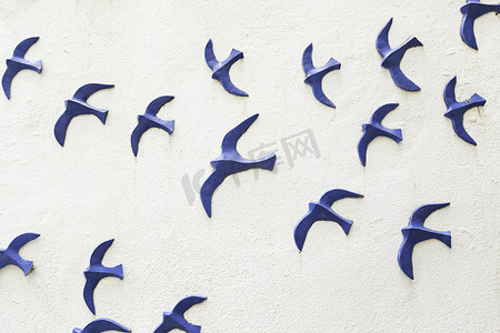 海鸥装饰摄影照片_木墙上的鸟