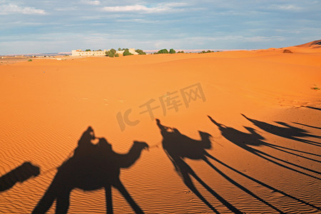 摩洛哥沙漠中一队骆驼的影子