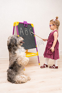 小女老师在学校和她的狗玩耍并展示她的英文字母。