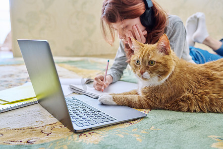青春期前的女孩用笔记本电脑和姜猫一起在家学习