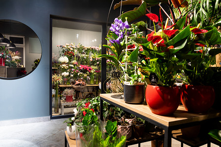 一家高级花店的内部，配有盆栽植物和冰箱，可存放鲜切花和花束