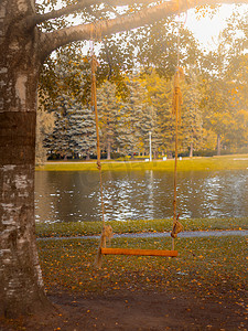 秋天木板背景摄影照片_公园或花园里树上的木板和绳子自制的秋千，没有人，空荡荡的空间，秋天的背景