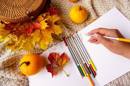 一个女人用水彩铅笔在相册里画画