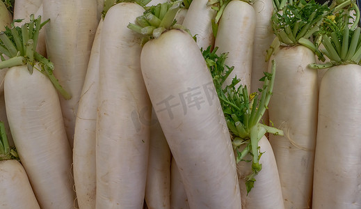 新鲜市场上有许多新鲜的白萝卜。