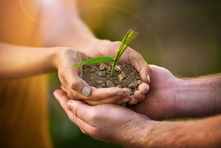 有爱心的人们手里拿着种子、植物和土壤生长，以促进环境意识保护或可持续发展。