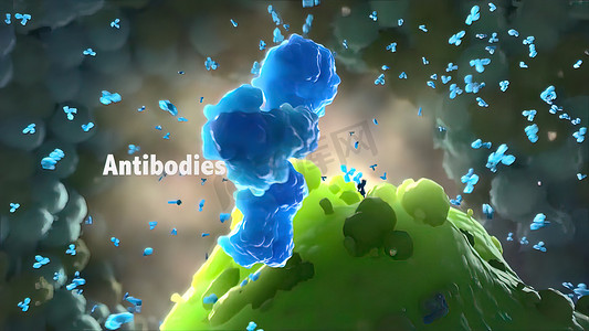 抗体是我们免疫系统的一部分