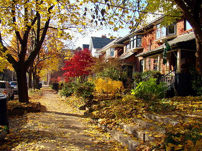 十一月风景摄影照片_秋天的城市人行道