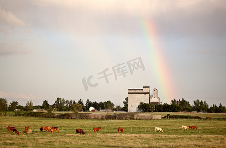 彩虹降落在萨斯喀彻温省班戈后面