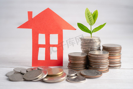 房屋模型与生长在硬币堆栈上的植物、住房贷款、储蓄计划、分期付款融资和银行概念。