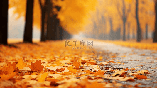 黄叶背景图片_秋天的叶子黄叶落叶背景