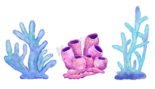 蓝色绿松石紫色珊瑚、海洋水下野生动物的水彩插图。