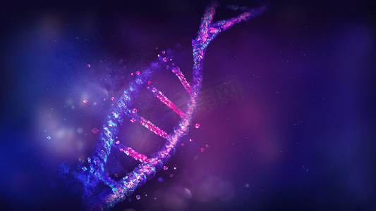 紫蓝色损坏的 DNA 双螺旋，3D 渲染。