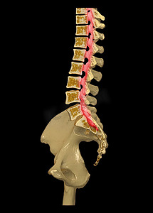 CT 腰椎或 L-S 脊柱 3D 渲染图像矢状视图 3D 渲染。