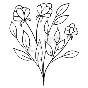 手绘花卉花叶插图，黑白优雅的婚礼装饰品，线条艺术极简主义纹身风格设计夏季春天自然枝叶开花。