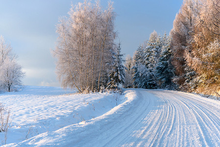 圣诞节的树摄影照片_山上的雪路