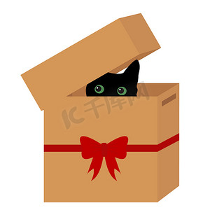 红丝带盒子里的黑猫