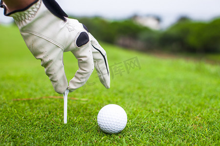 手指型摄影照片_将高尔夫球手放在绿草美丽的高尔夫球场上的发球台上