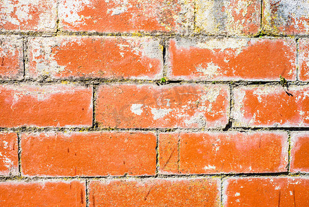 春日背景墙摄影照片_英国阳光明媚的春日，旧红砖墙
