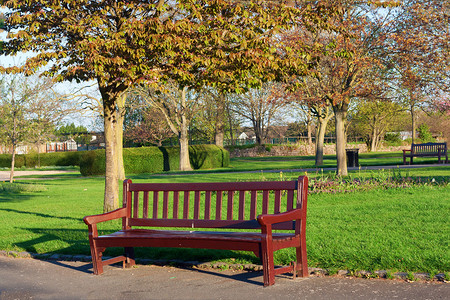 公园里的木制公园长椅