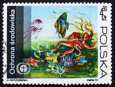 动植物摄影照片_邮票波兰 1973 年水下动植物