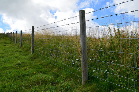 天空围栏摄影照片_沿着草地的铁丝网。