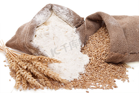 面粉和小麦粒