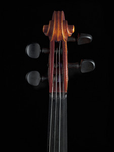 小提琴的钉子图像
