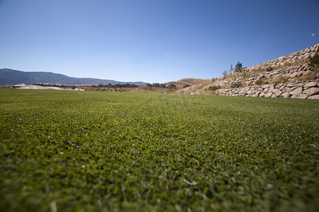 绿油油的草地摄影照片_高尔夫球场绿油油的草地和清澈的蓝天。