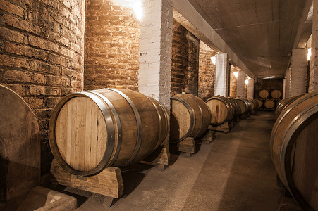 阿根廷门多萨省马尔贝克酒窖的酒桶