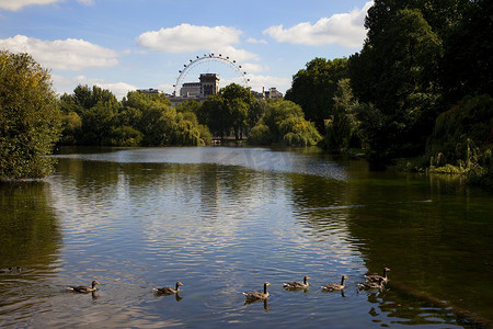 公园鸭子摄影照片_从圣詹姆斯公园看伦敦眼