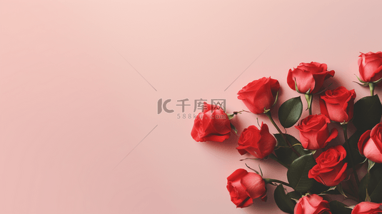 浪漫玫瑰花背景图片_粉色情人节玫瑰花朵37