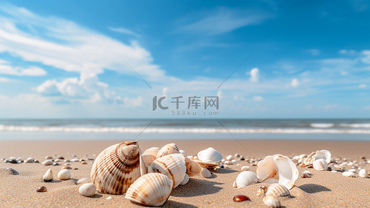 海洋沙滩背景图片_沙滩贝壳夏季沙滩蓝色背景