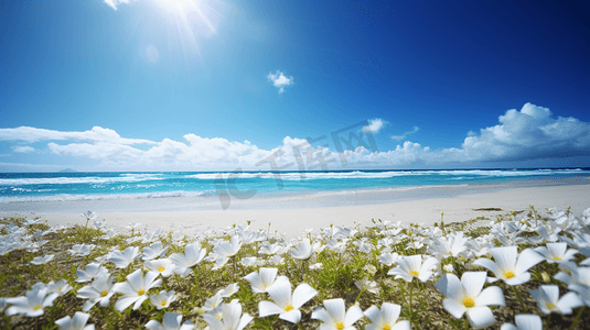 夏日阳光海滩花朵插画