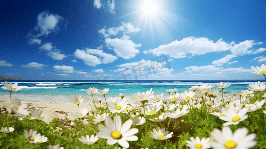 夏日阳光海滩花朵插画