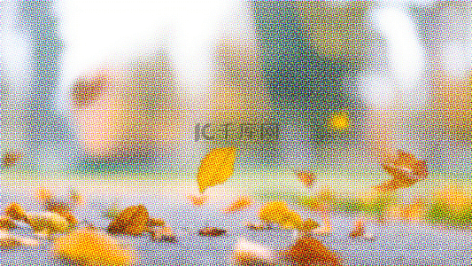 秋天弥散风渐变黄叶半调纹理黄叶