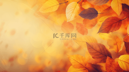 秋天落叶唯美秋季黄色树叶背景16