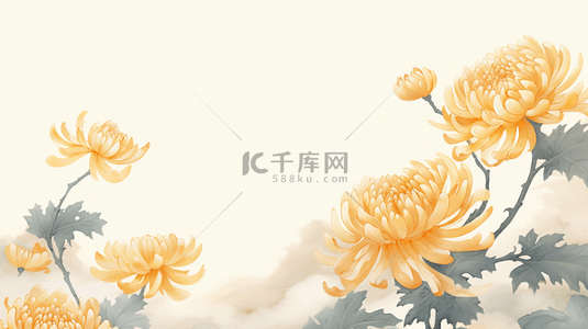 唯美金黄色菊花重阳节背景21