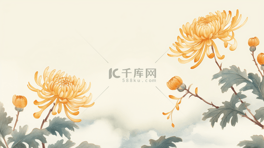 唯美金黄色菊花重阳节背景11