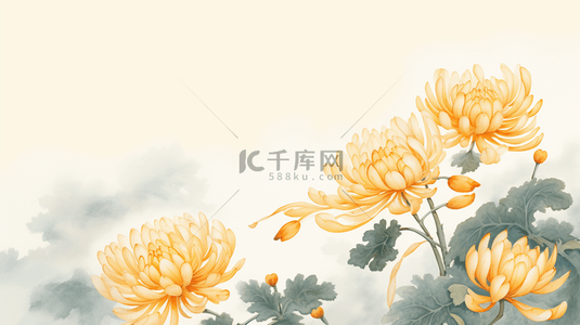 唯美金黄色菊花重阳节背景28